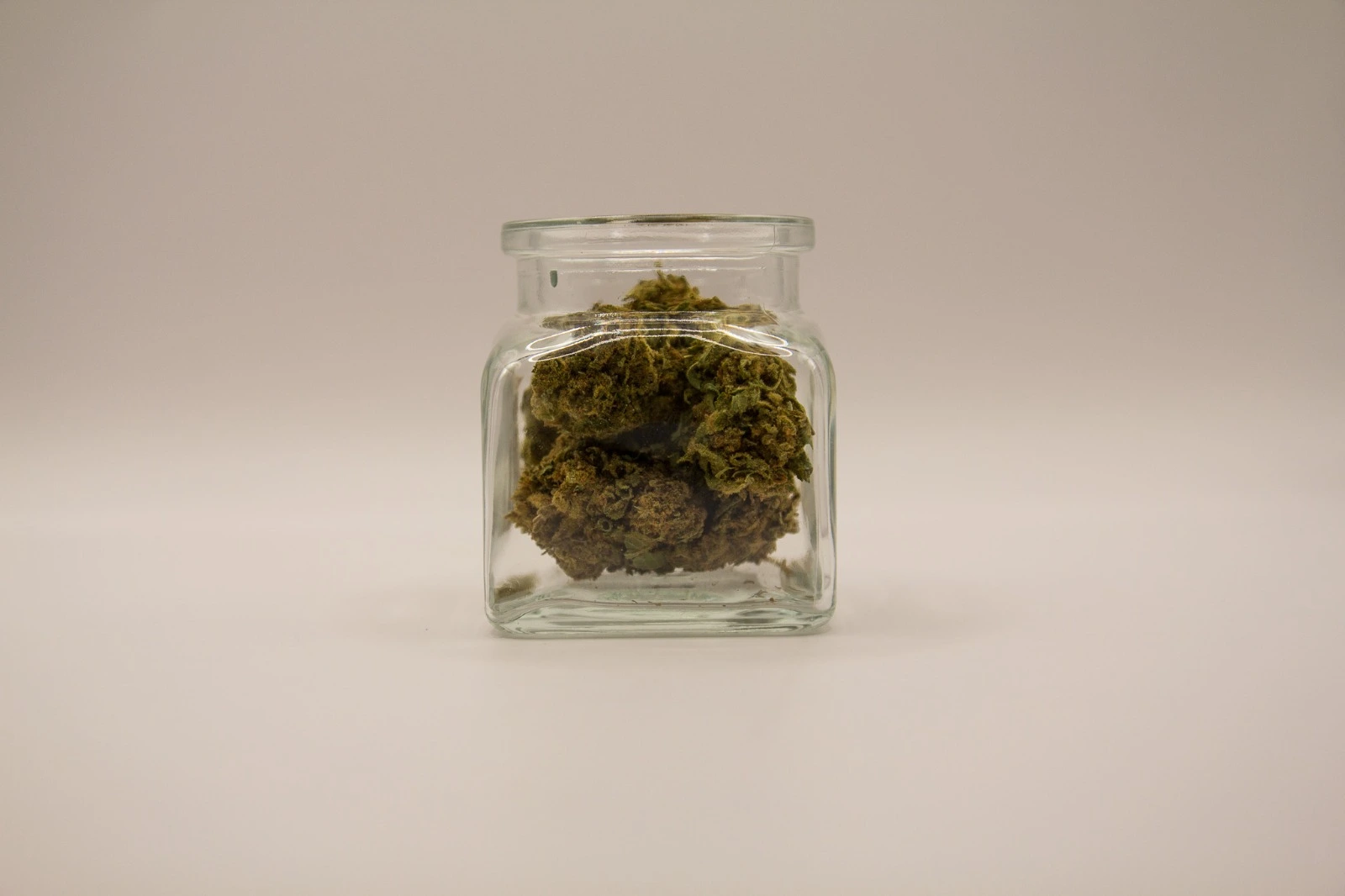 CBD-blüten - Amnesia Haze - 5g