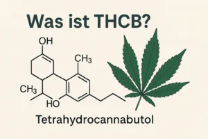 Was ist THCB?