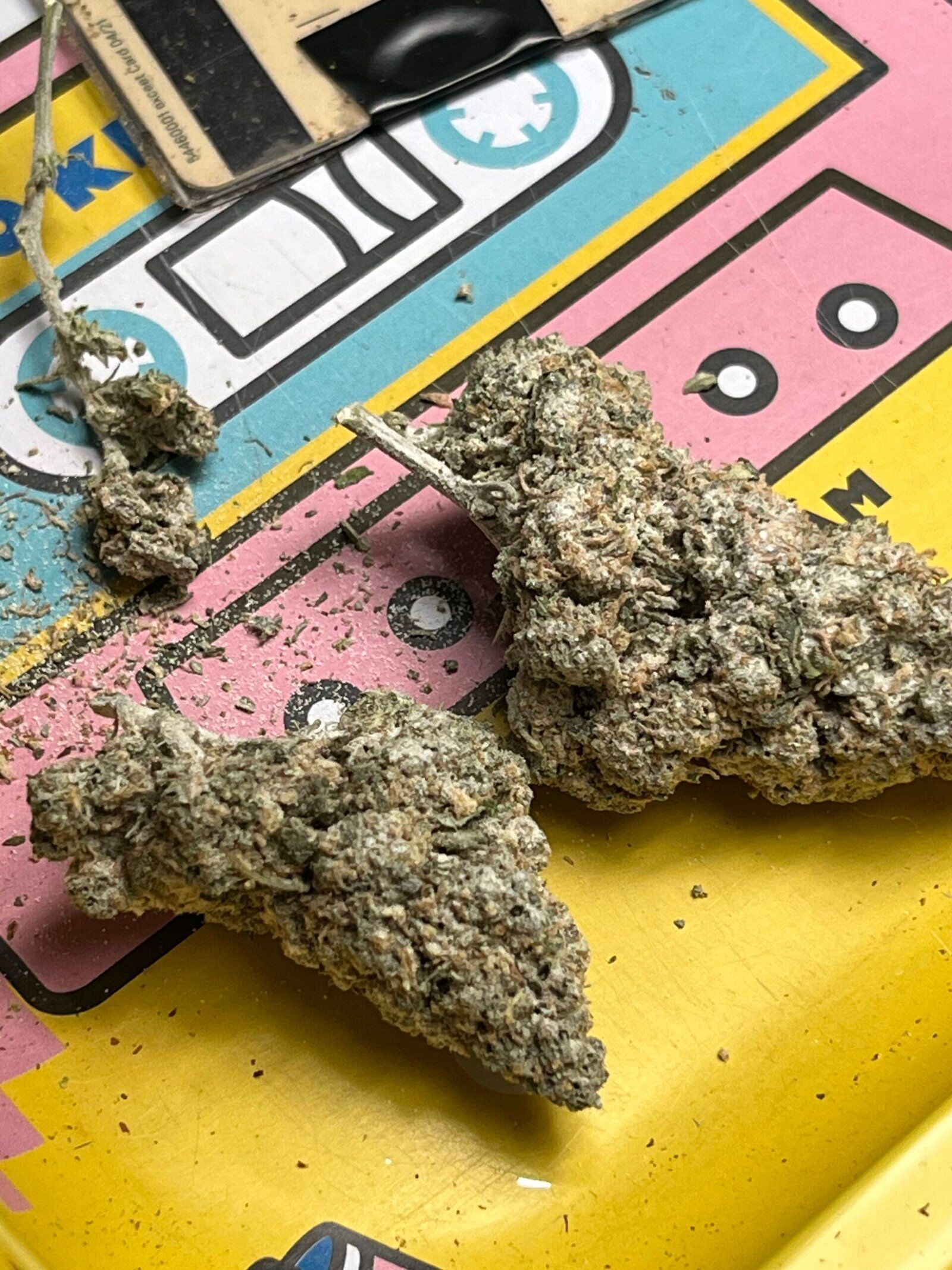 Rezension-Foto 1/1 von "hoehnfabi" zur Hempli-Produktbewertung "Lemon Haze Blüten | 25% THCA"