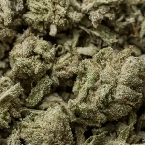 Trim/small buds closeup
