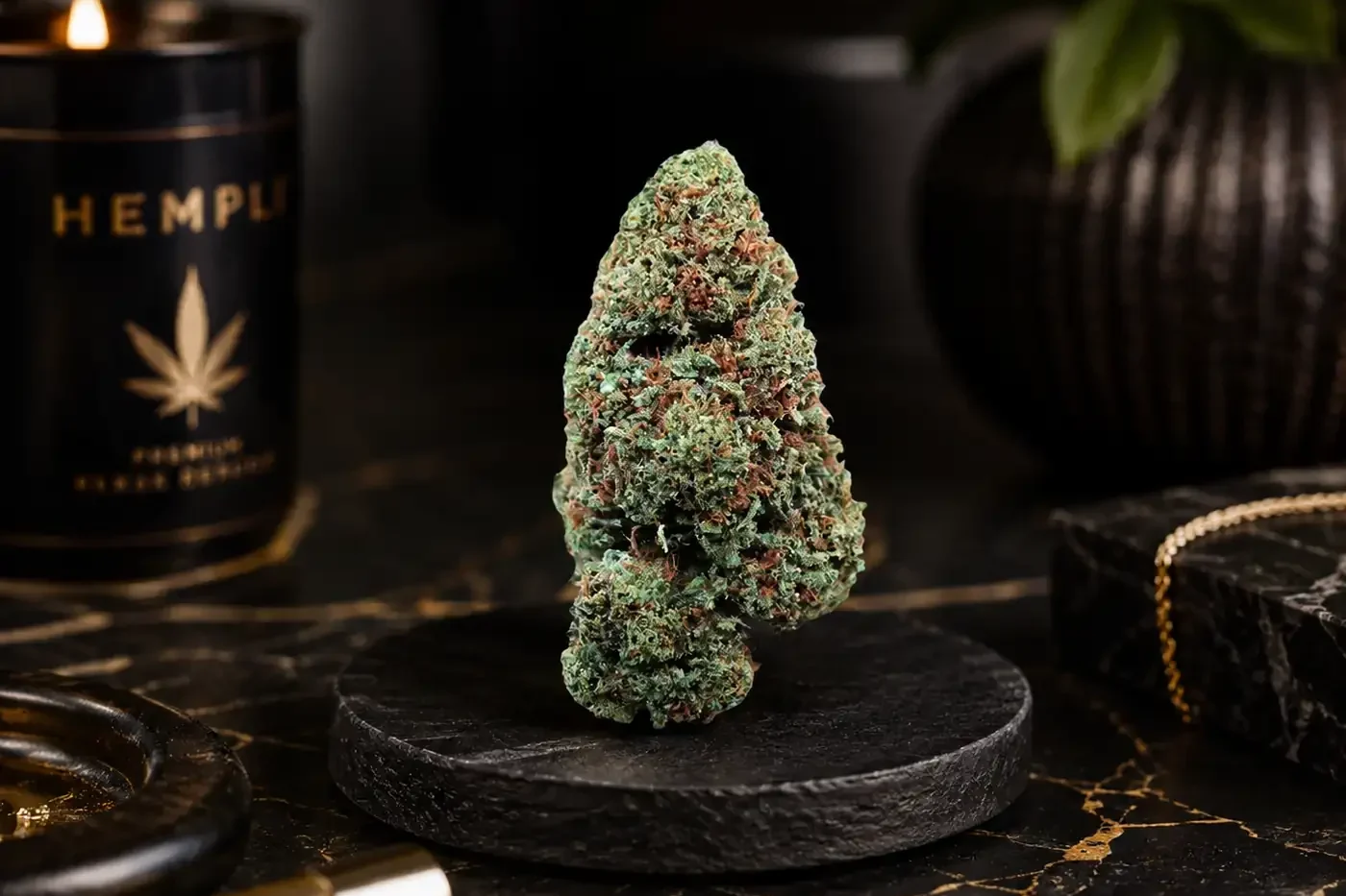 Harlequin THCA lifestyle