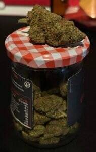 Rezension-Foto 1/1 von "David Merkur" zur Hempli-Produktbewertung "Amnesia Haze Blüten | 28% THCA"