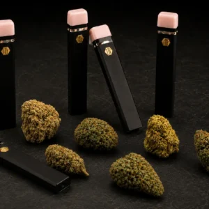 Buds and hash Hempli