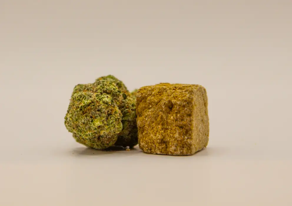 Lemon haze & ketama hash starterkit
