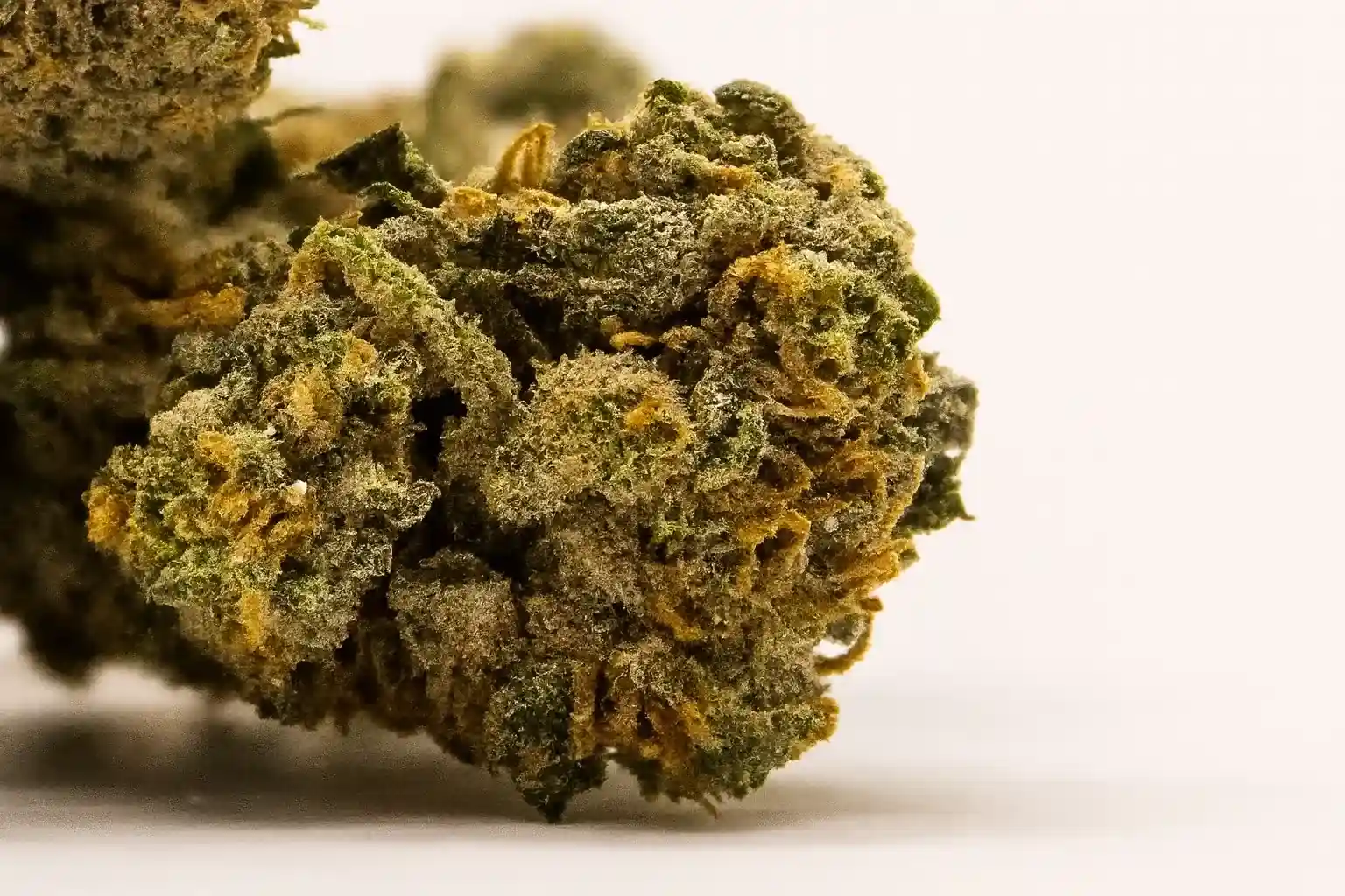 Silver Haze closeup trichome