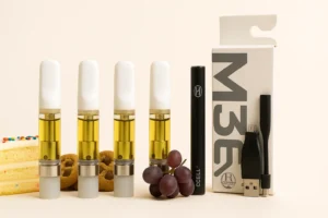 Kartusche & Batterie | Starter Kit