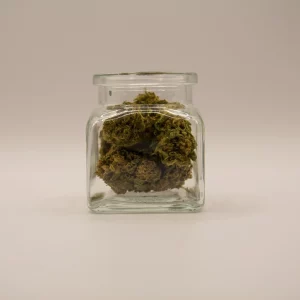 CBD-blüten - Amnesia Haze - 5g