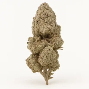 Strawberry ice strain THCA Blüten. Premium Cannabis kaufen