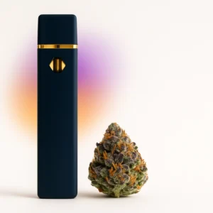 Amnesia Haze 2ml thca vape