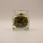 CBD-blüten - Amnesia Haze - 5g