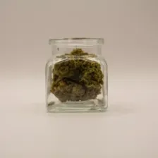 CBD-blüten - Amnesia Haze - 5g