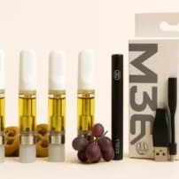 Kartusche + Batteri | THCA vape Starter Kit