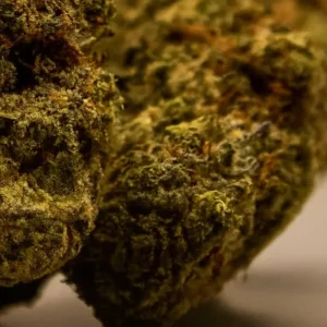 CBD blüten - Banana sour closeup