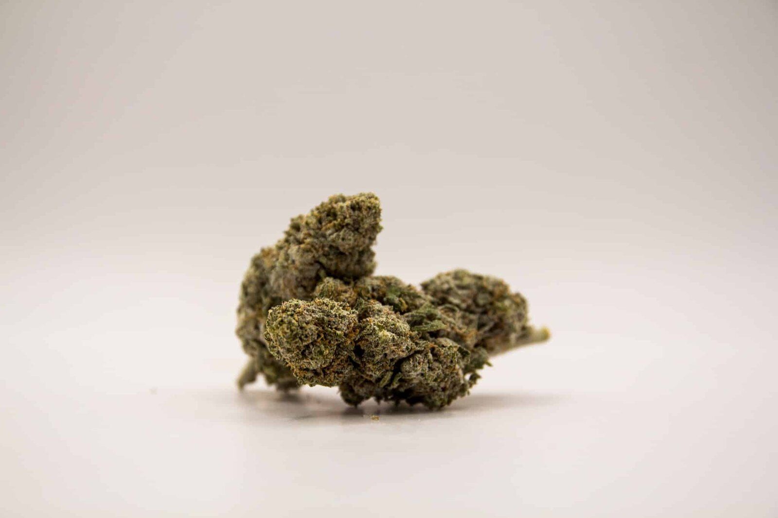 Silver Haze THCA-blüten