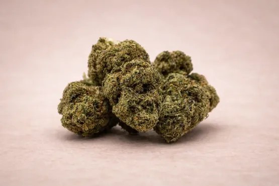 Banana sour - CBD blüten