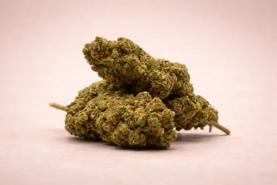 Watermelon Skittlez - CBD Blüten