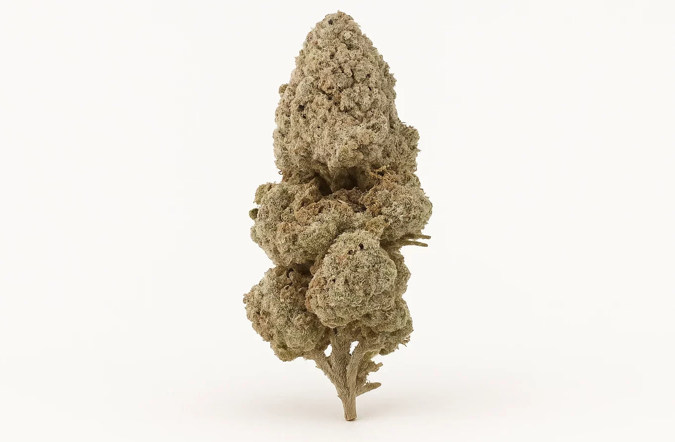 Strawberry ice strain THCA Blüten. Premium Cannabis kaufen