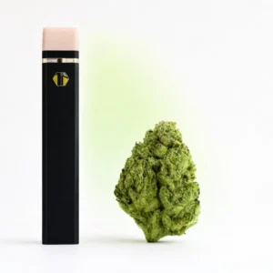 Kaufen THCA Vape - OG Kush in deutschland