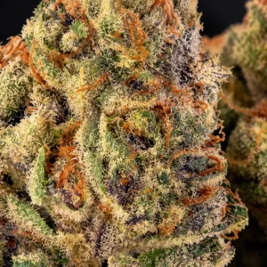 Skunk 1 Blüten closeup
