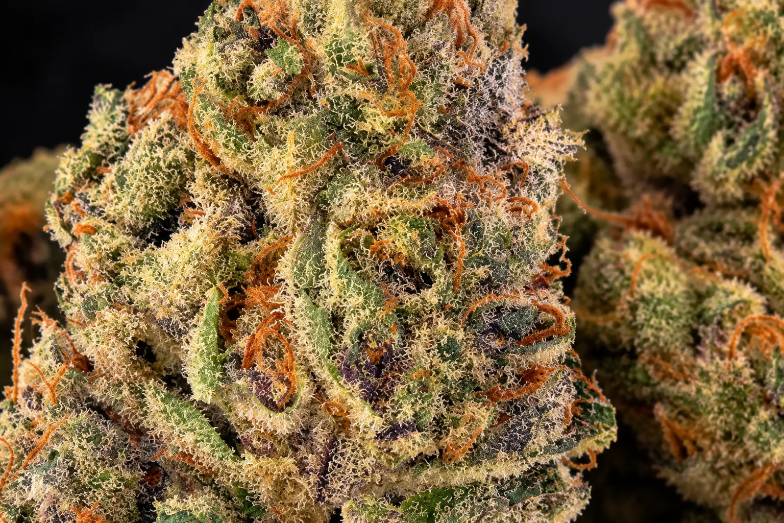 Skunk 1 Blüten closeup