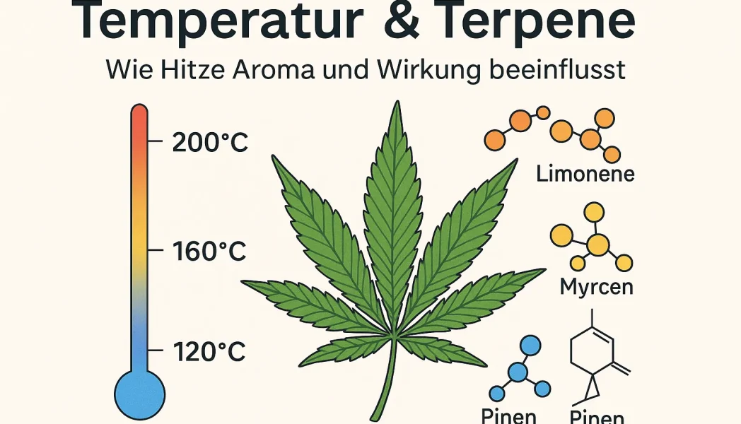Temperatur terpene
