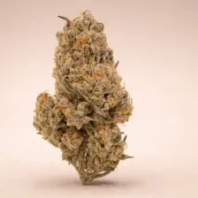 Super silver haze CBD