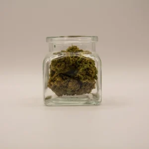 CBD-blüten - Amnesia Haze - 5g