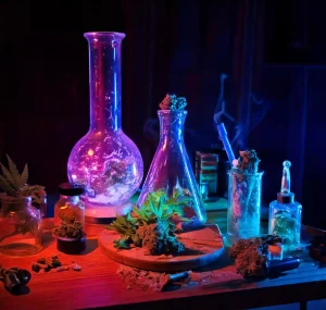 Hash-Leitfaden | Alles über hash in Deutschland und Europa