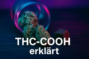 THC-COOH – Nachweisbarkeit und Abbauzeiten anschaulich dargestellt