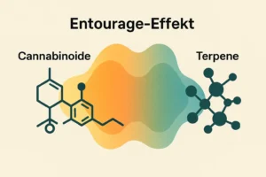 Entourage-effekt cannabis