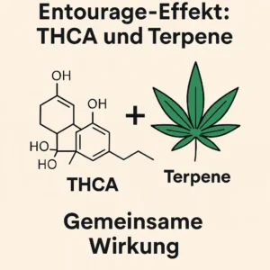 THCA Terpene entourage effekt