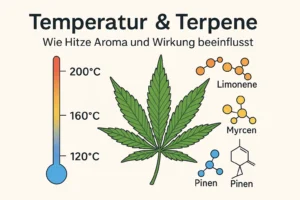 Temperatur terpene