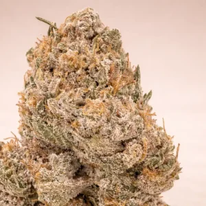 Super silver haze closeup of CBD buds