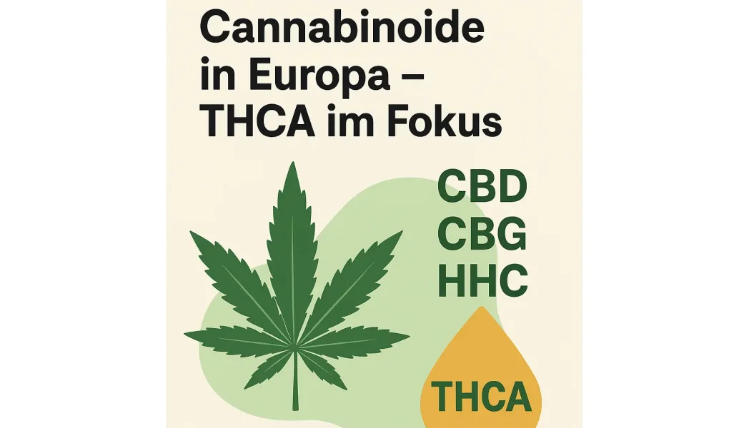 THCA Deutschland 2025