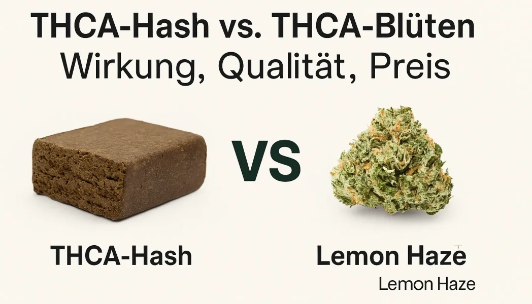 THCA-hash vs. THCA blüten