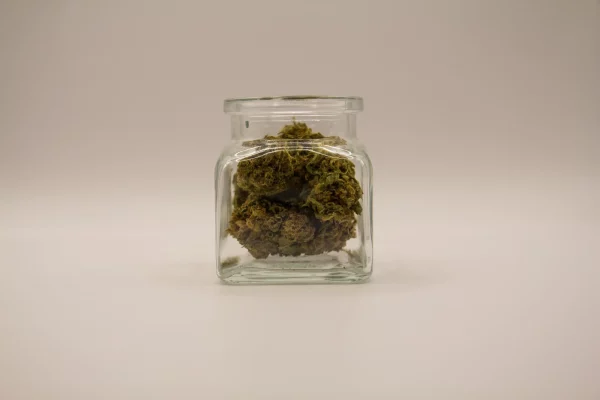CBD-blüten - Amnesia Haze - 5g