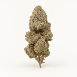 Strawberry ice strain THCA Blüten. Premium Cannabis kaufen