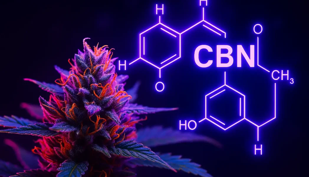 Was ist CBN