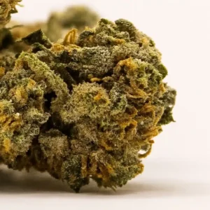 Silver Haze closeup trichome