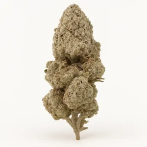 Strawberry ice strain THCA Blüten. Premium Cannabis kaufen