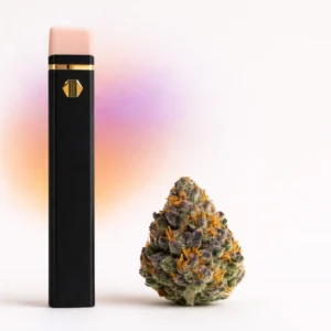 THCA vape kaufen - G13 haze