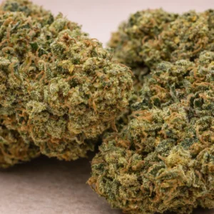 CBD Blüten - Watermelon skittlez closeup