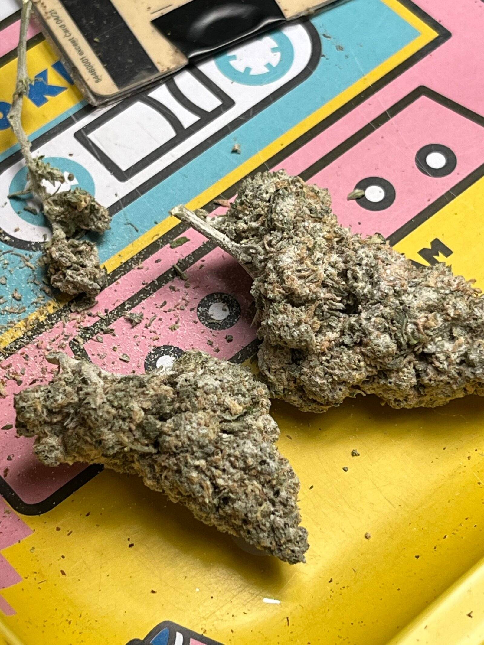 Rezension-Foto 1/1 von "hoehnfabi" zur Hempli-Produktbewertung "Lemon Haze Blüten | 28% THCA"