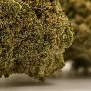 Lemon Haze closeup trichome