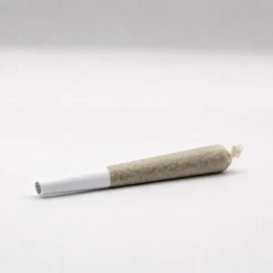 Premium THCA Preroll mit weißem Filter unter 0,3% THC